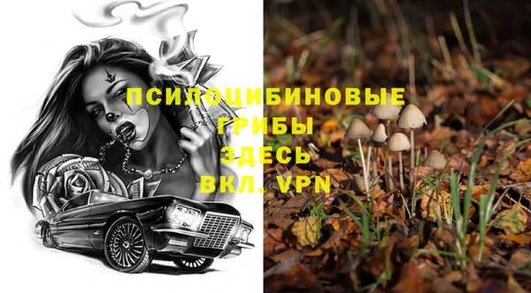 марки nbome Ельня